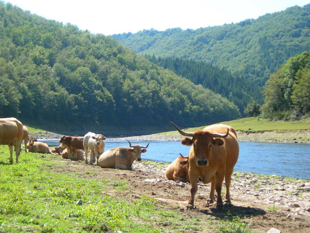 Vvf Aubrac Chaudes-Aigues Exterior foto